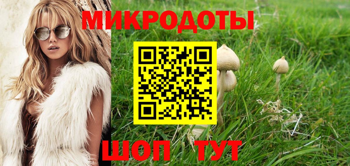наркота  Вход с VPN  Курчатов  Псилоцибиновые грибы Psilocybe 